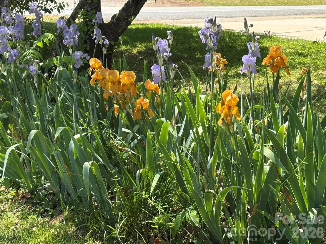 Photo of 1249 Melvin Hill Road