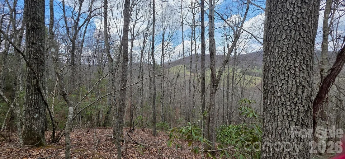 Photo of 000 Nettle Knob Road