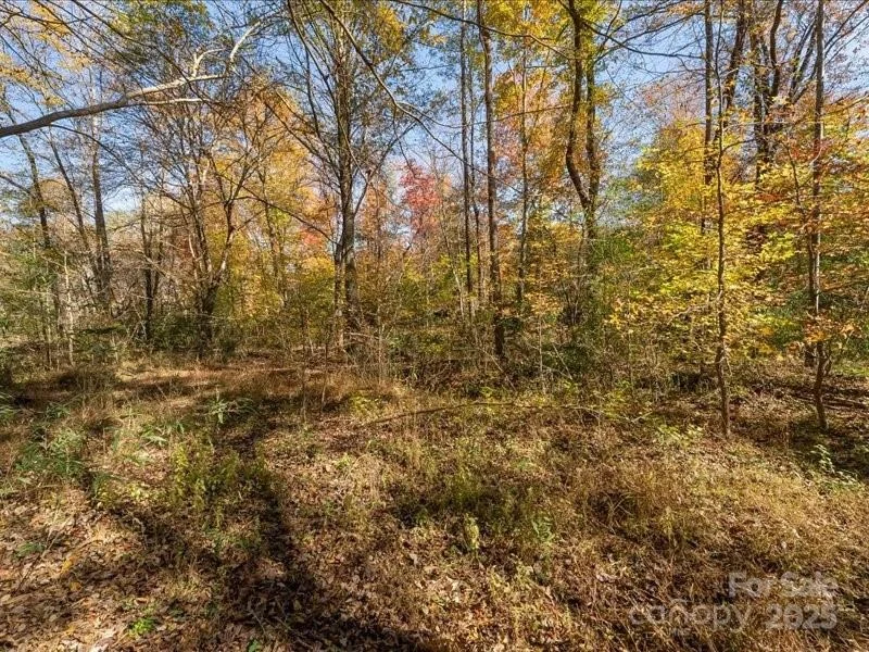 Photo of 304 Winding Creek Drive