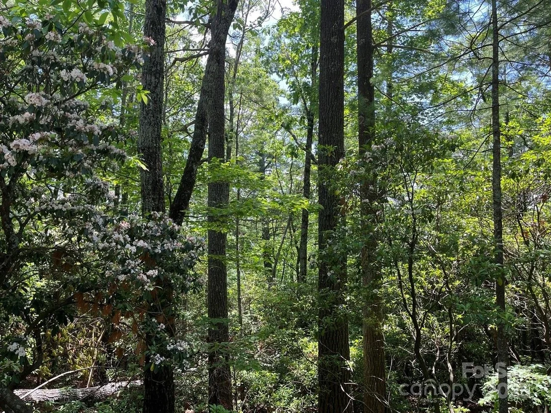 Photo of 0000 Humpback Mountain Road