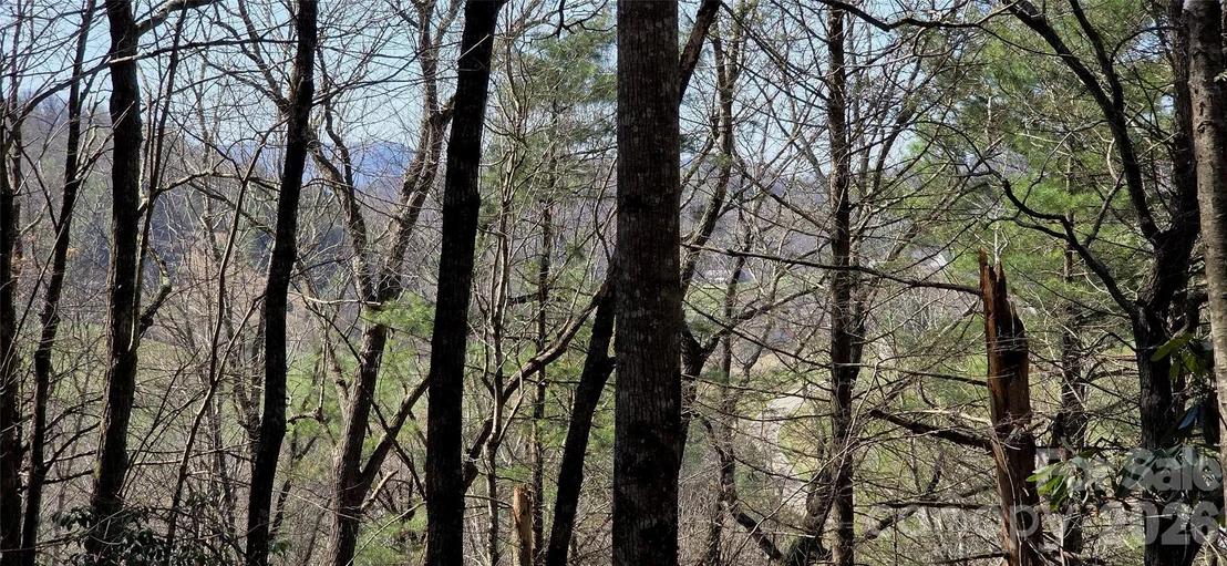 Photo of 000 Nettle Knob Road