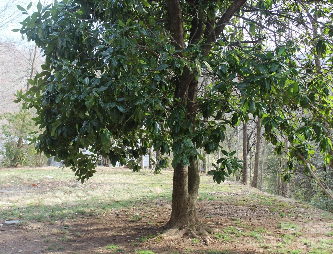 Photo of 55 Celestial Lane
