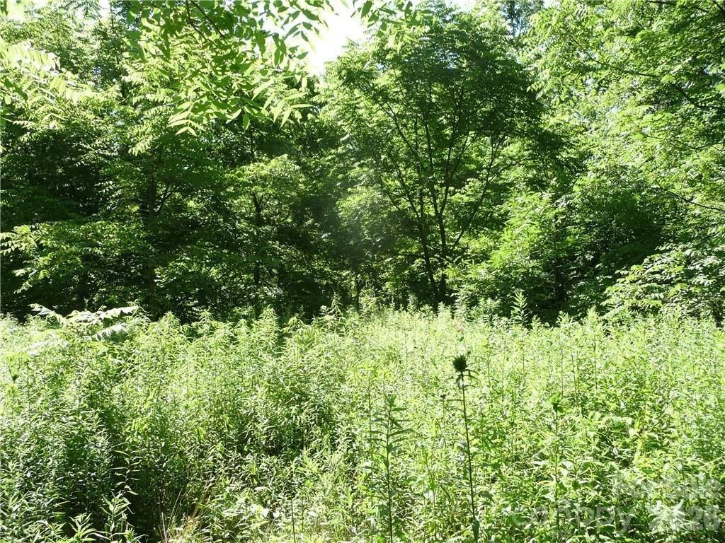 Photo of 3771 US Highway 421 Highway N