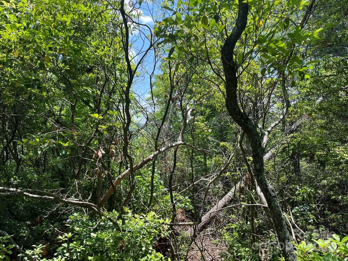 Photo of 0000 Humpback Mountain Road