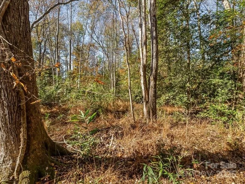 Photo of 302 Winding Creek Drive