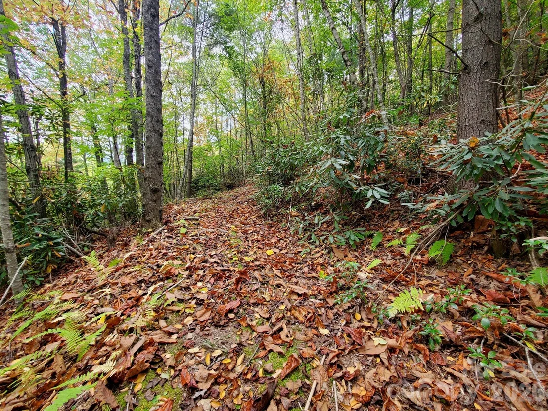 Photo of 000 Nettle Knob Road