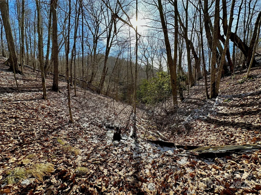 Photo of 149 Painter Road