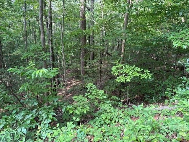 Photo of 00 Cardinal Circle