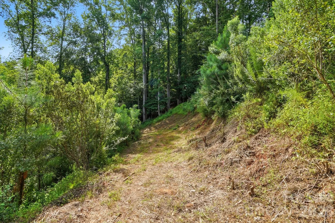 Photo of 29010 Silver Fox Drive