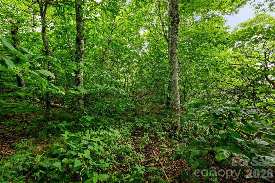Photo of Unit 96 at Lot 96 Cloud Spring Drive