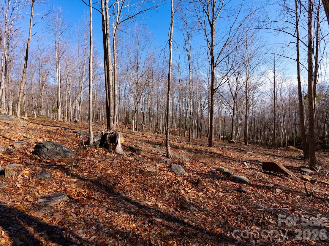 Photo of 220 Chesterfield Drive