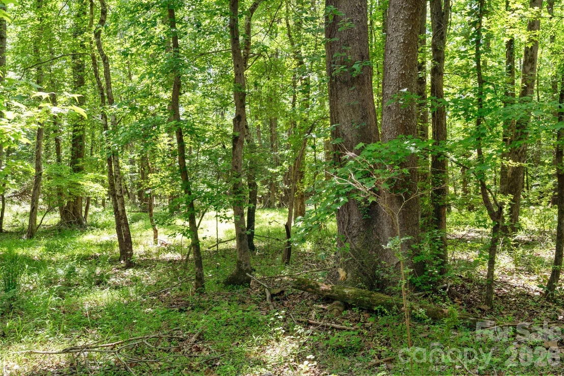 Photo of 0000 Ashford Ferry Road