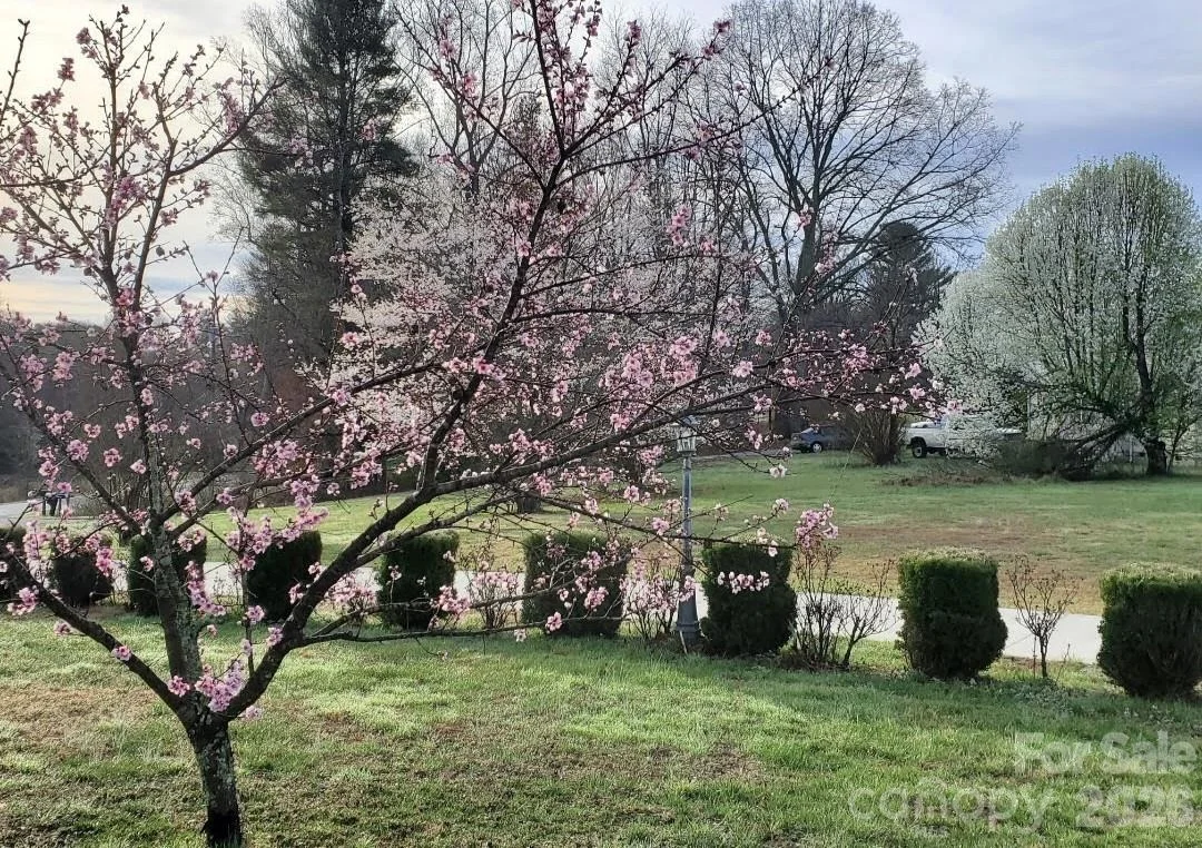 Photo of 476 Jackson Loop Road