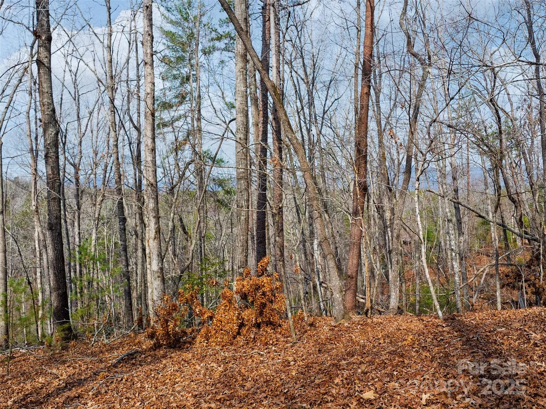 Photo of Lot 27 South Cove Road
