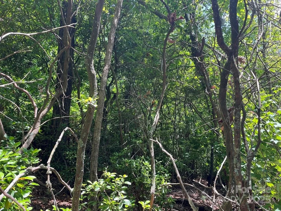 Photo of 0000 Humpback Mountain Road