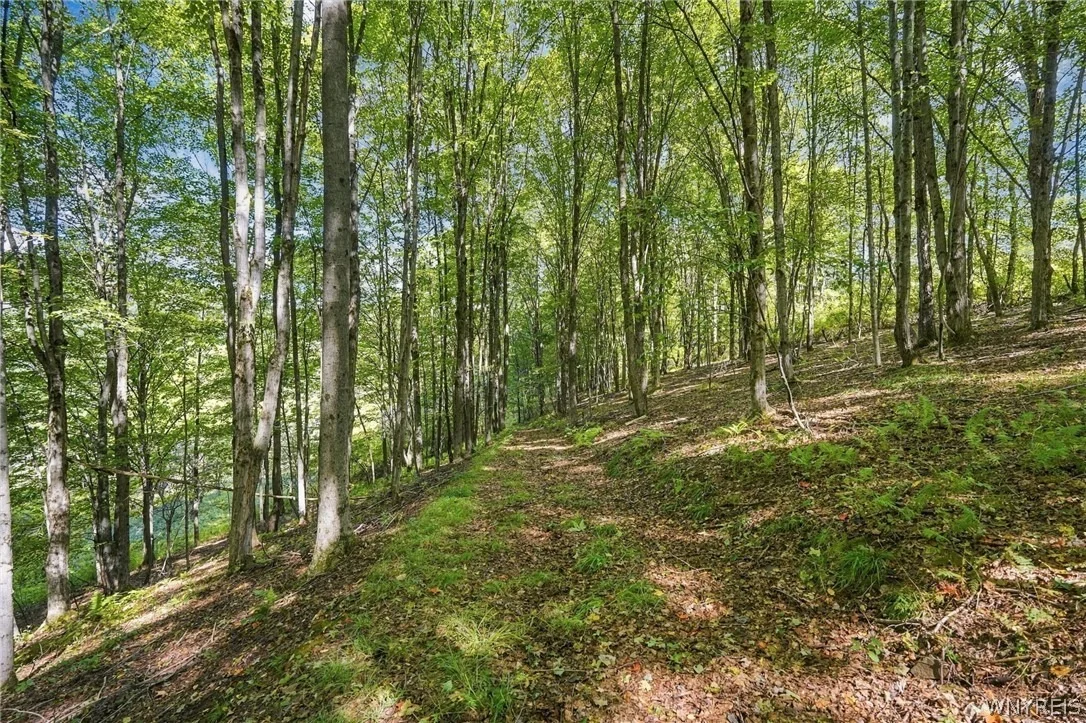 Photo of 3438 County Road 6