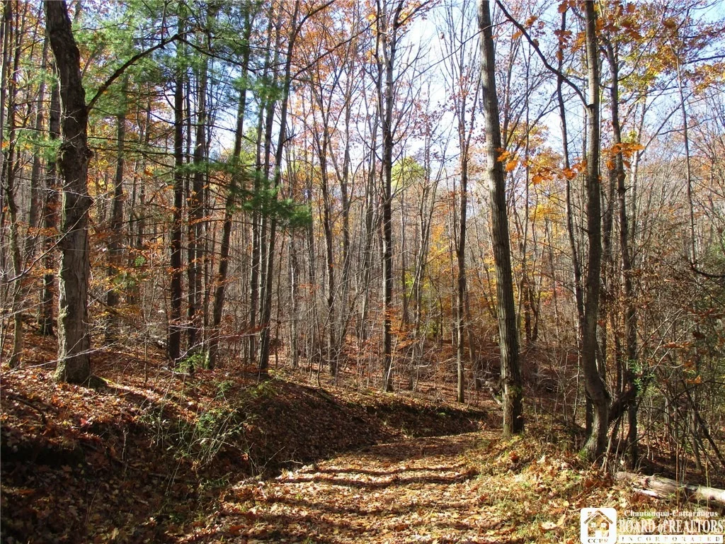 Photo of Gordon Brook