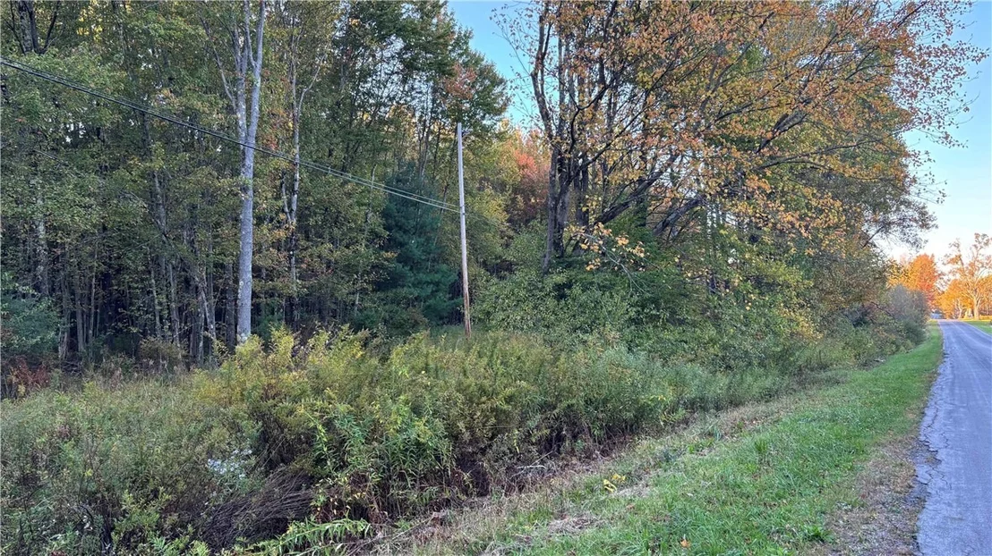 Photo of 273 White Road