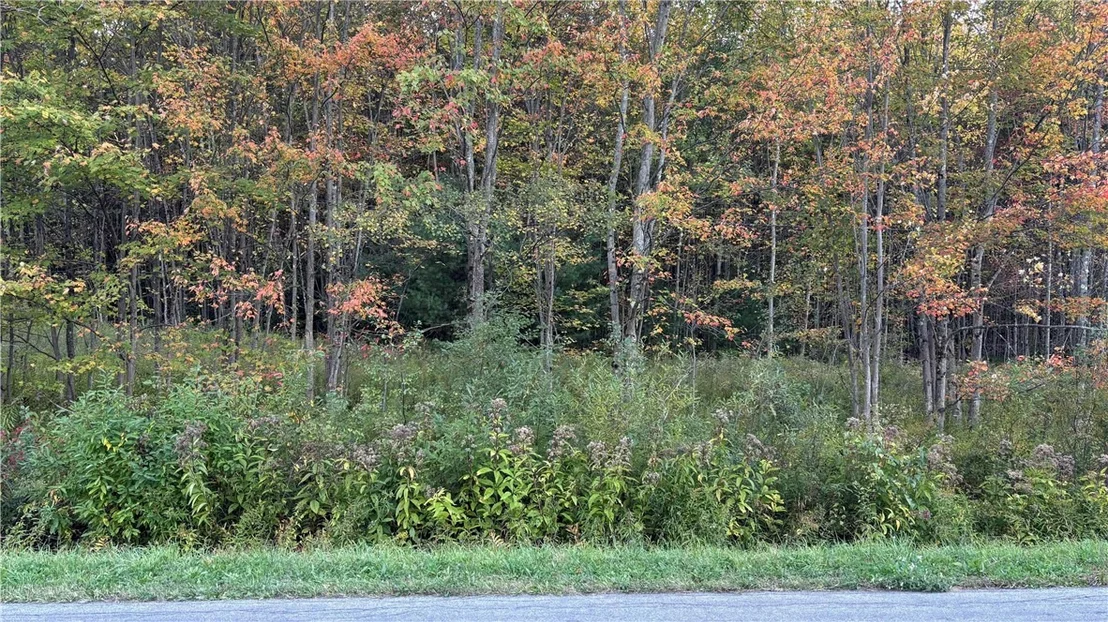 Photo of 273 White Road