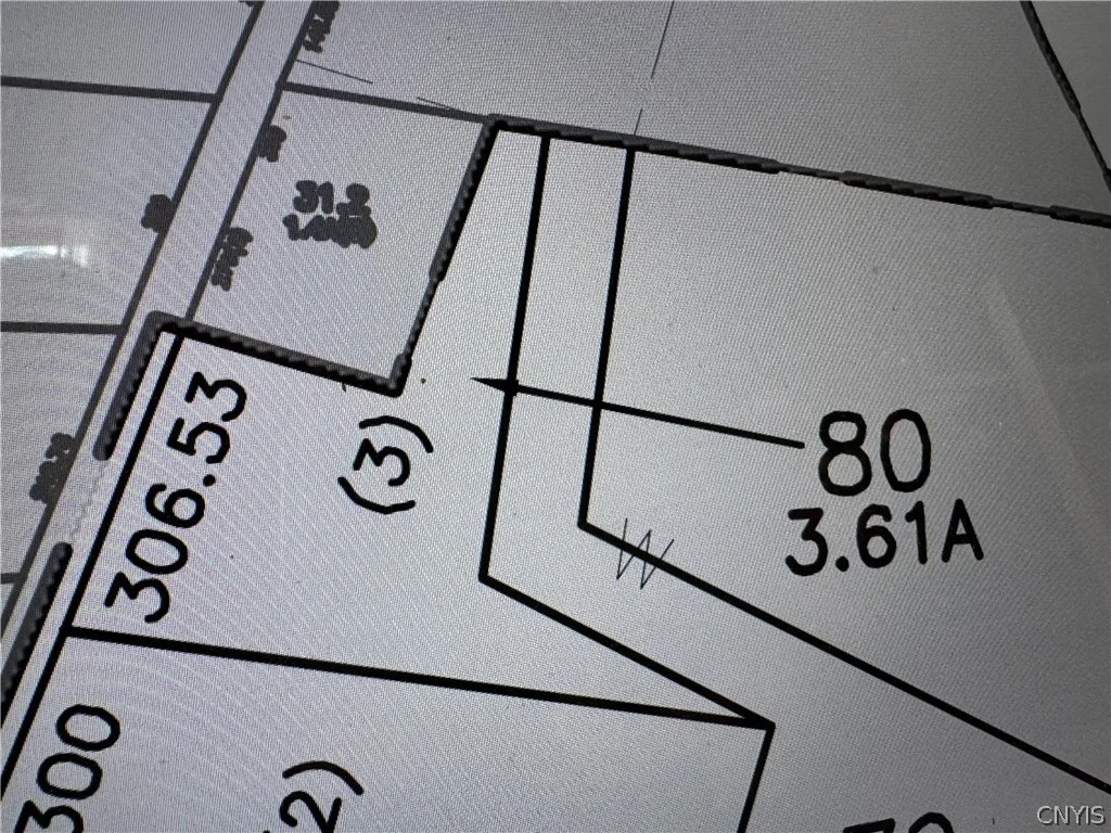 Photo of Rt-3