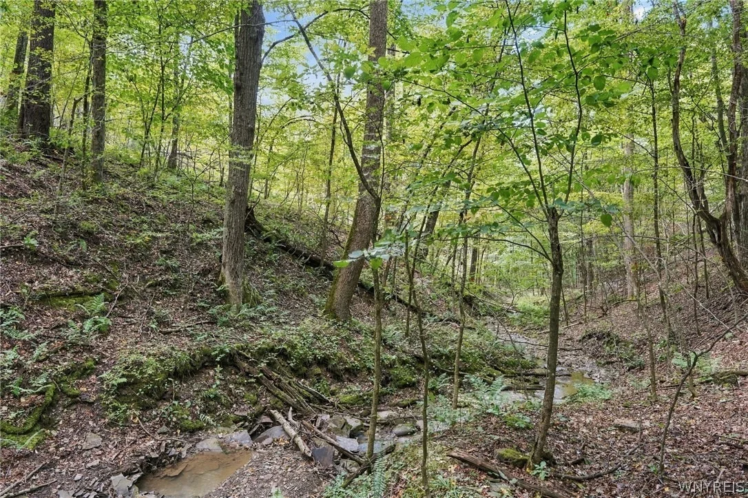 Photo of 3438 County Road 6