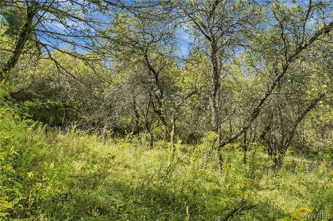 Photo of 3438 County Road 6