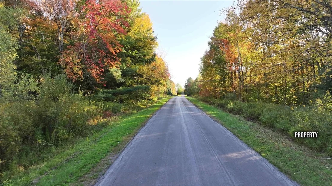 Photo of 273 White Road
