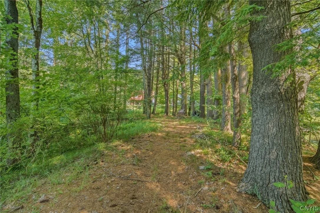 Photo of 83 Knapp Road