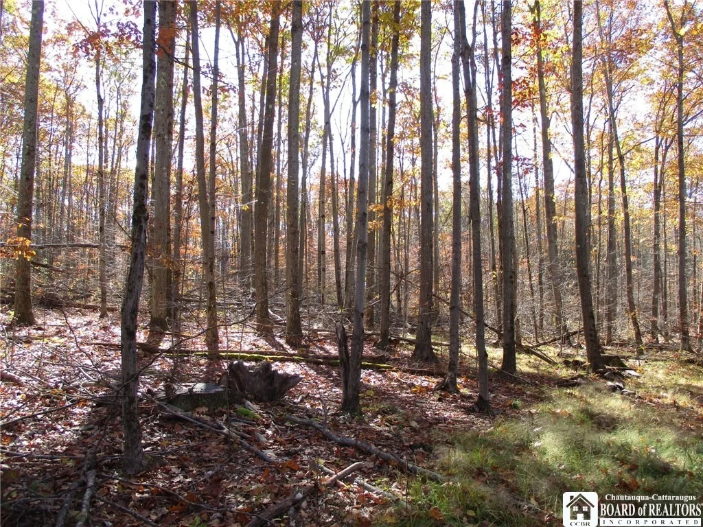 Photo of Gordon Brook