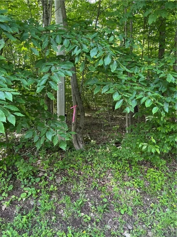 Photo of 172 Aurora Drive