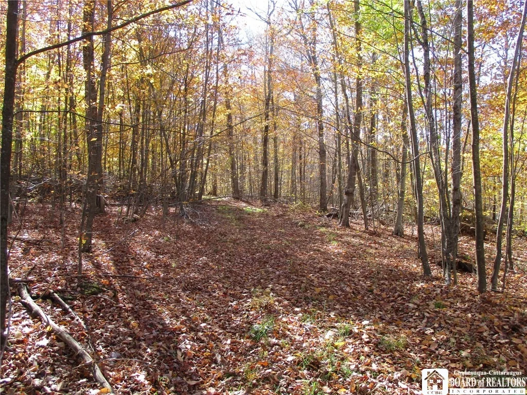 Photo of Gordon Brook