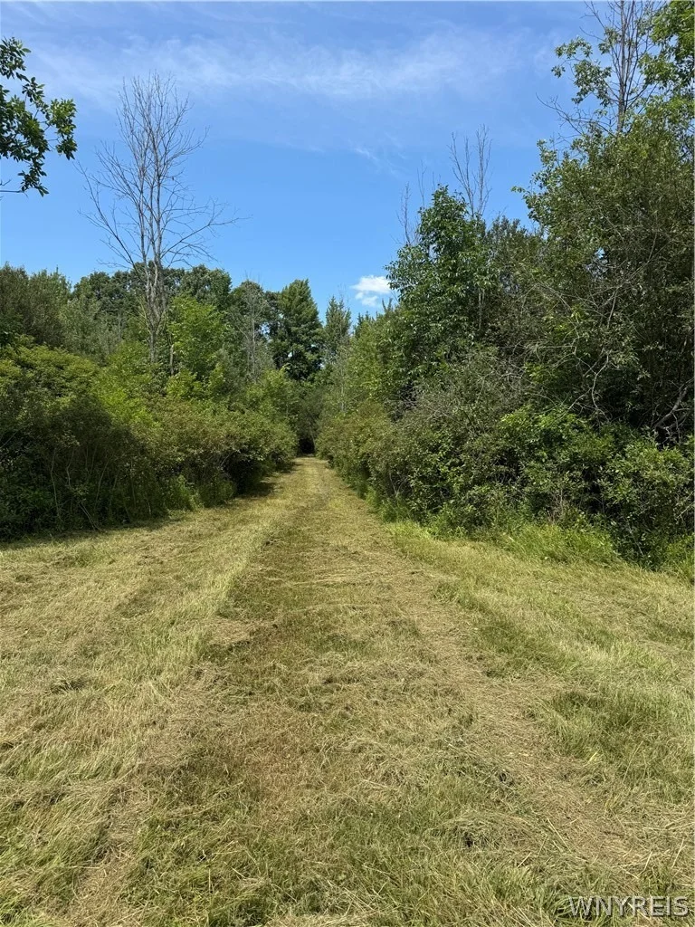 Photo of 7753 Moyer Road