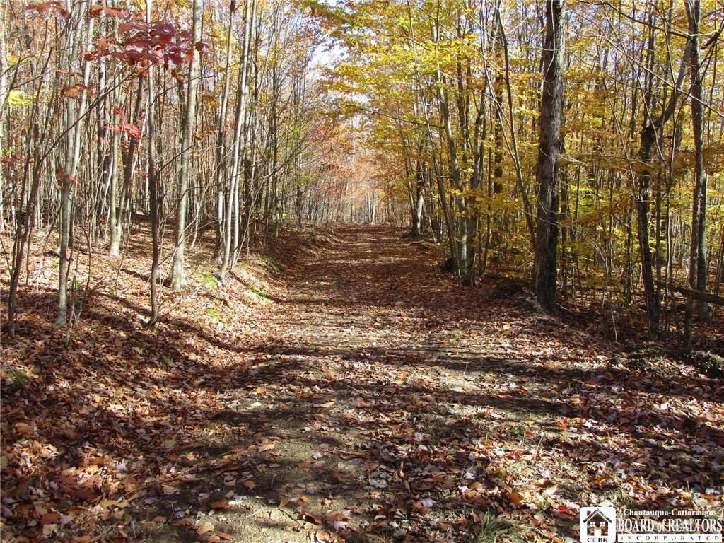 Photo of Gordon Brook