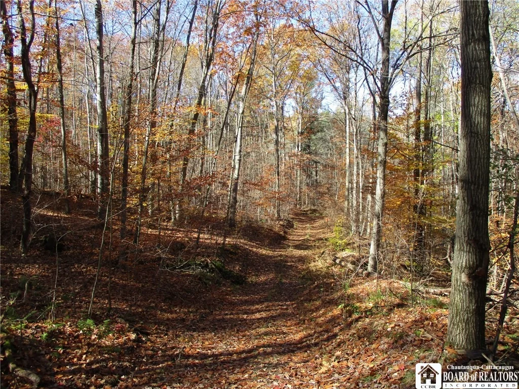 Photo of Gordon Brook