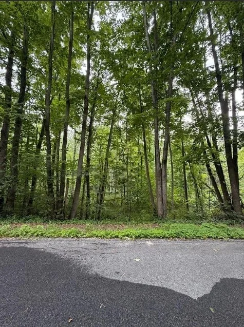 Photo of 7044 Laraway Road