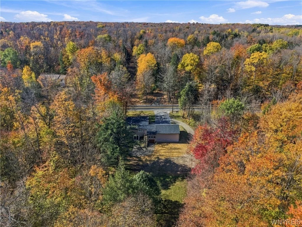 Photo of 8733 Phillips Road