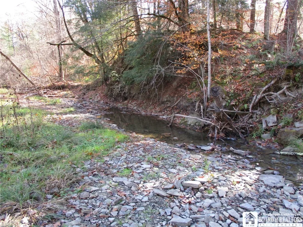 Photo of Gordon Brook