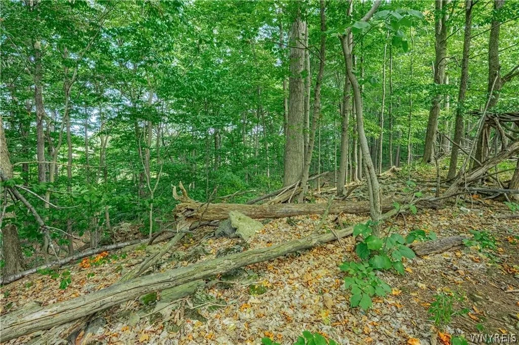 Photo of 17 Gothic Ledge