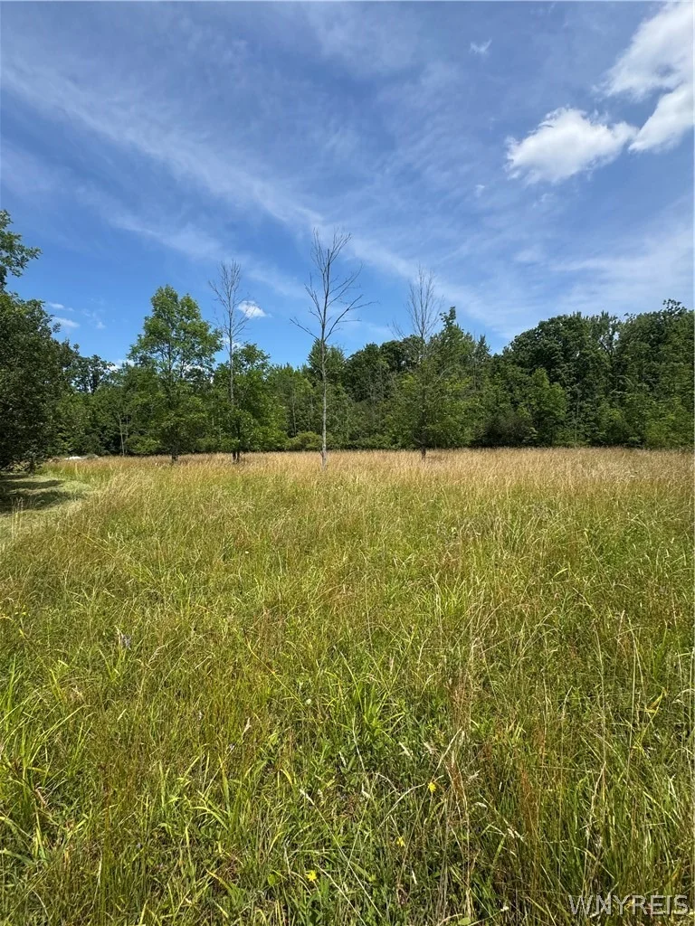 Photo of 7753 Moyer Road