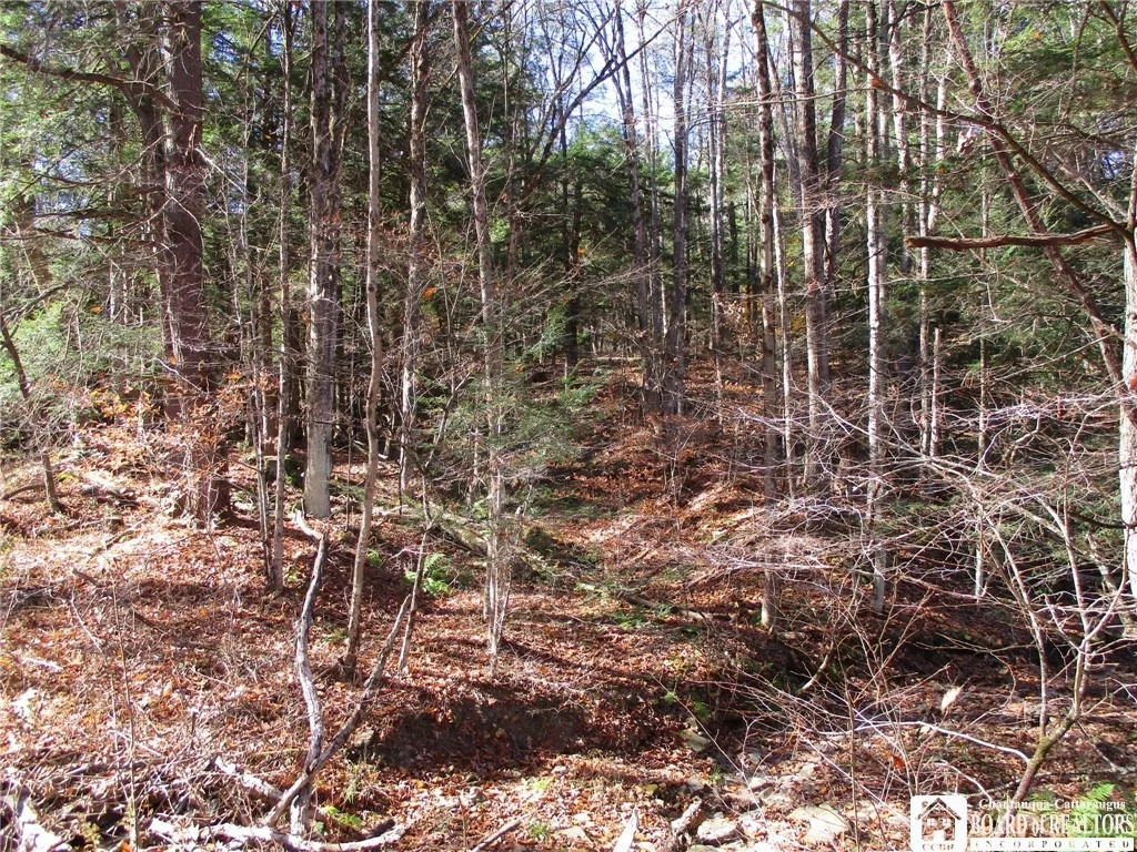 Photo of Gordon Brook