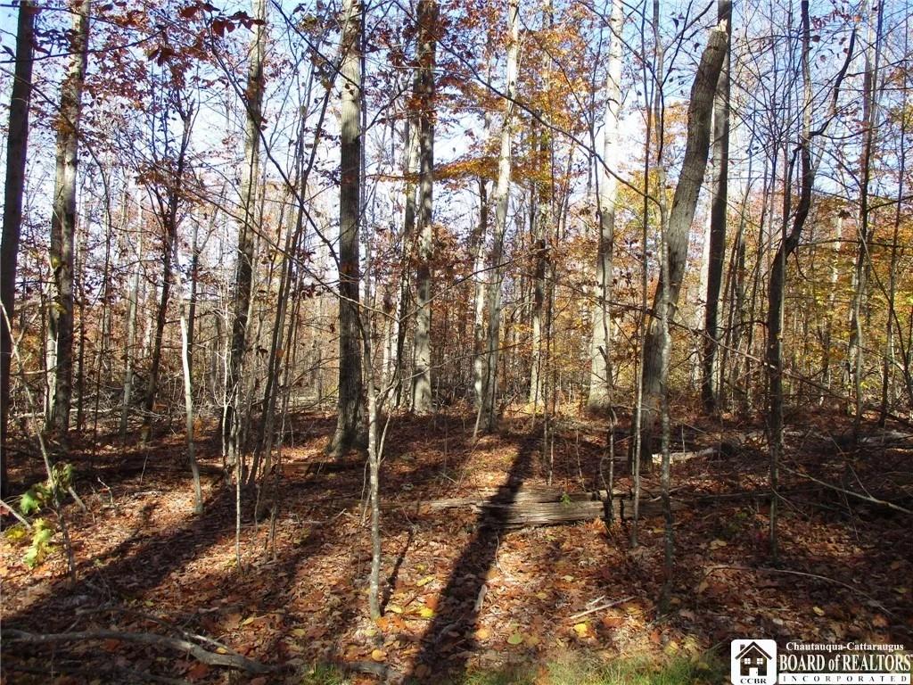 Photo of Gordon Brook