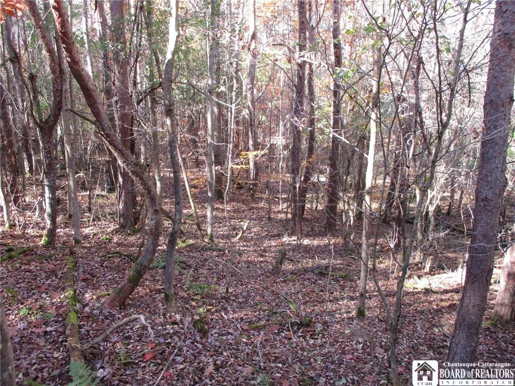 Photo of Gordon Brook