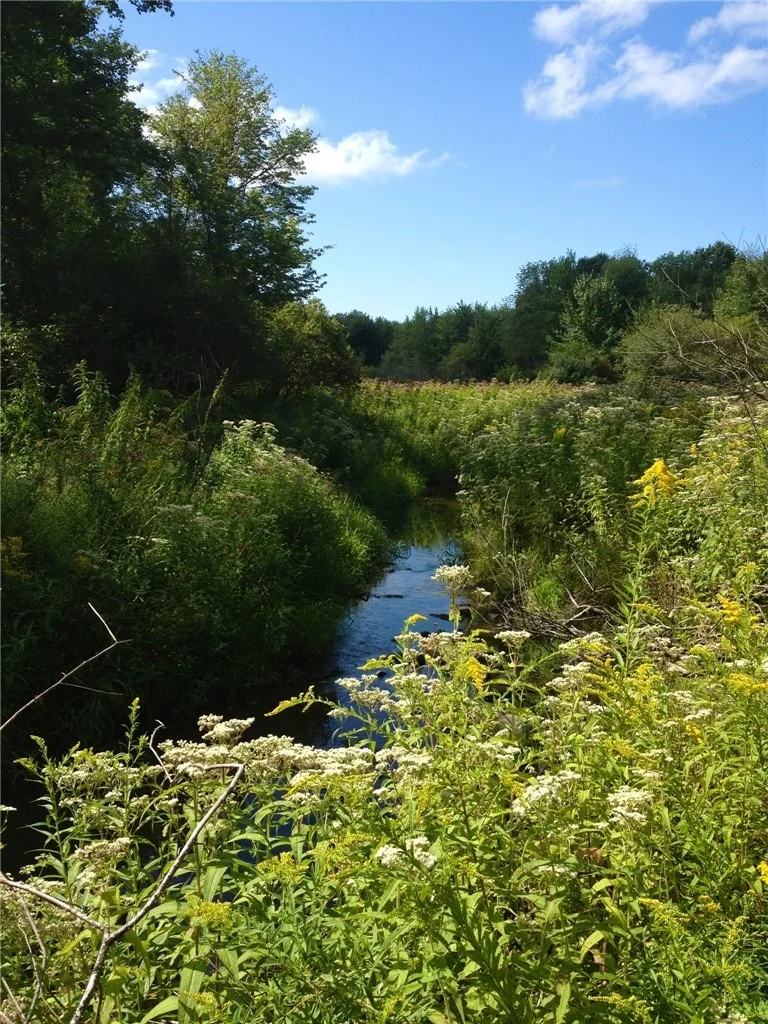 Photo of 188 Cummings Road