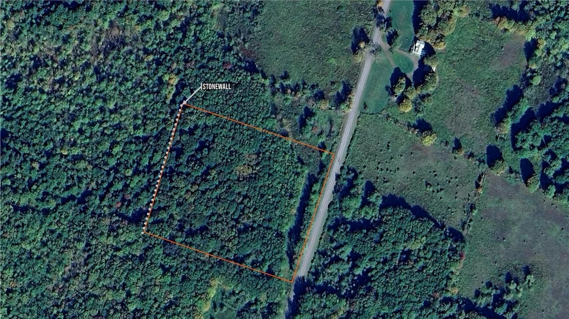 Photo of 273 White Road