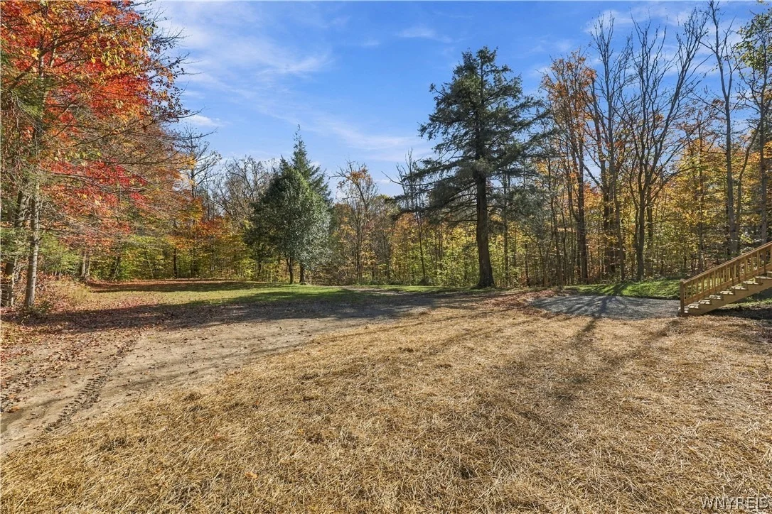 Photo of 8733 Phillips Road
