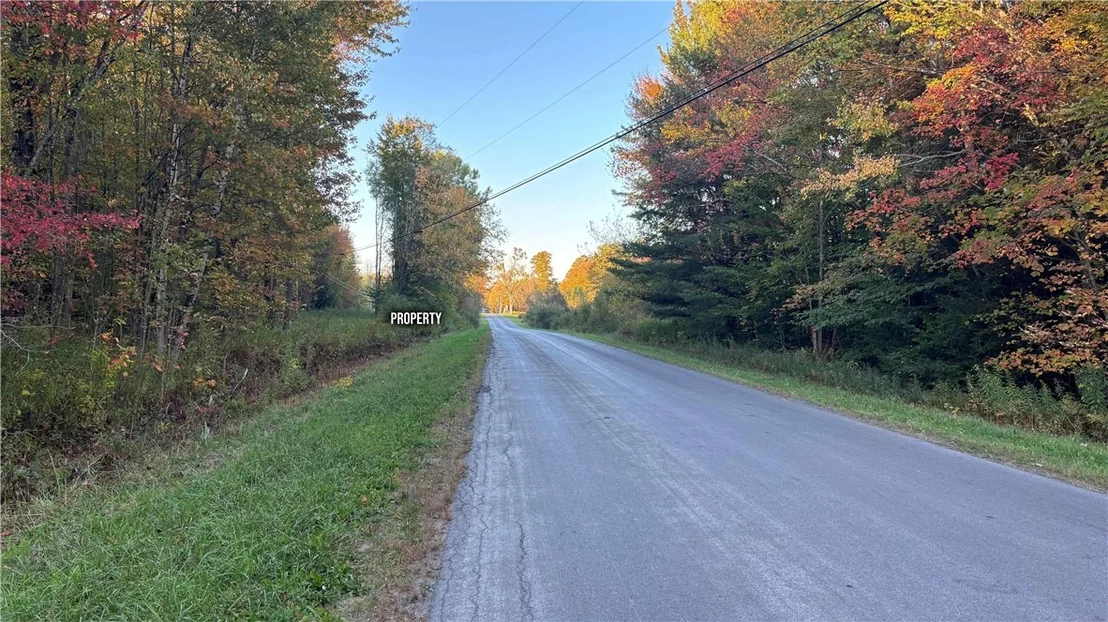 Photo of 273 White Road