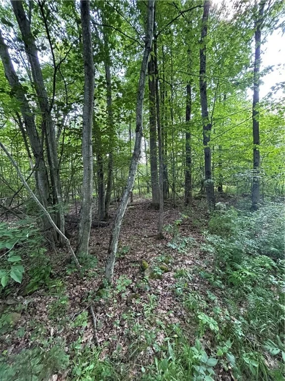 Photo of 172 Aurora Drive
