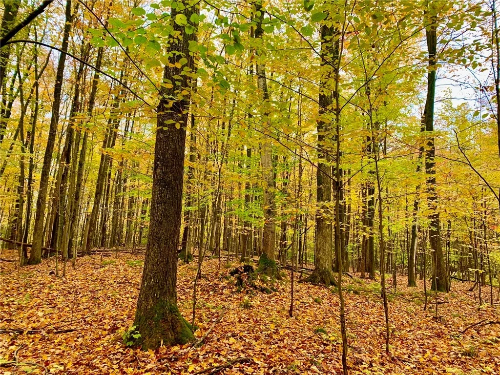 Photo of 188 Cummings Road