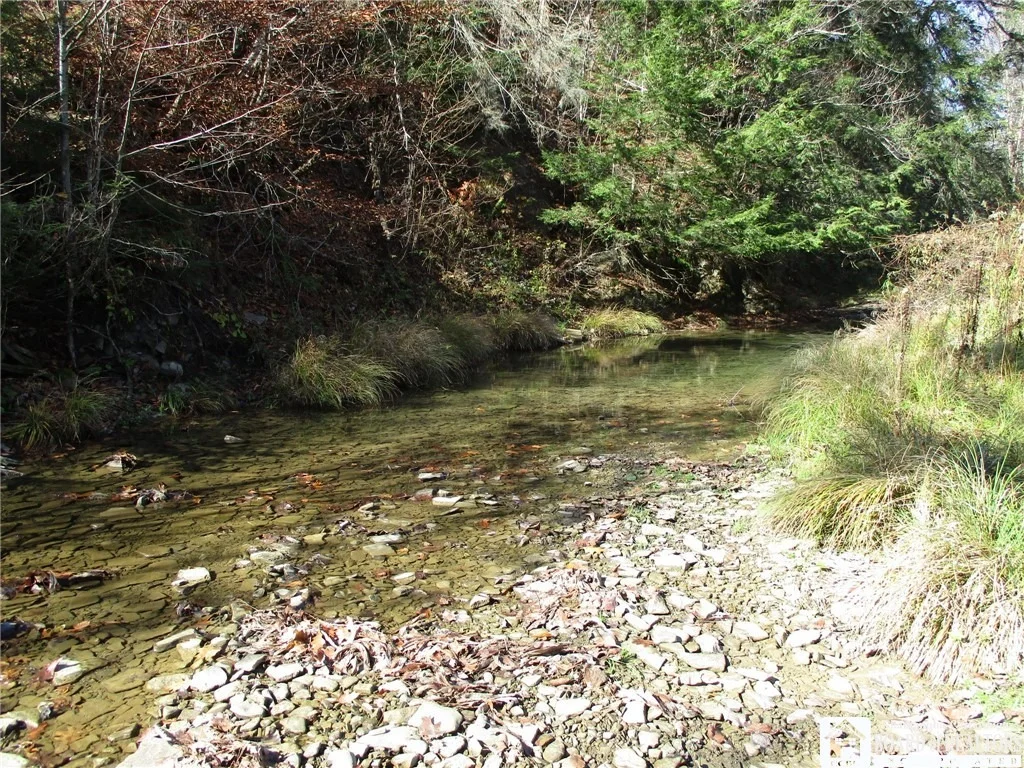 Photo of Gordon Brook