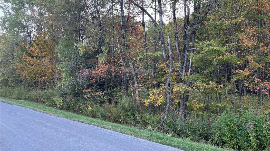 Photo of 273 White Road